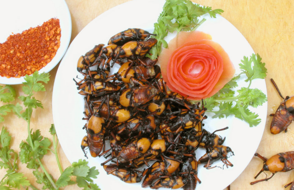 一起来盘点我们的那些童年趣事