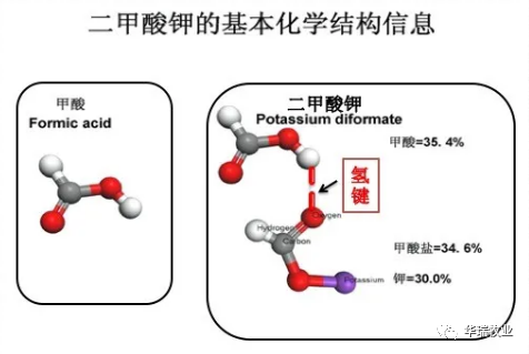 日粮中0.6%二甲酸钾对仔猪平均日增重和饲料报酬的改善程度？