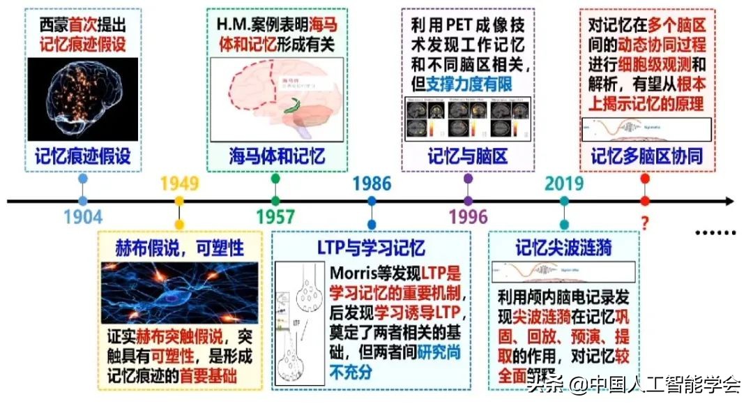 實錄丨戴瓊海：深度學習遭遇瓶頸，全腦觀測啟發下一代AI演算法