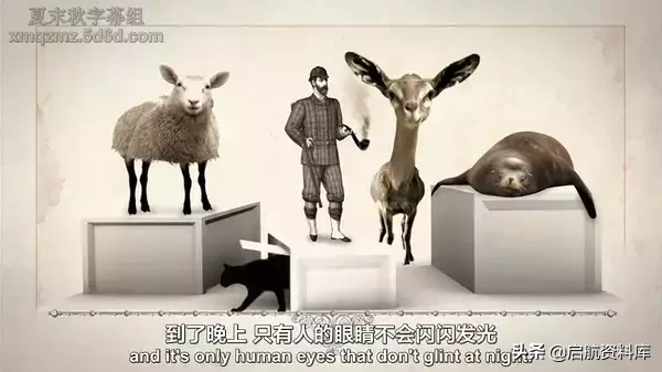 《你最想和所应该知道的科学》1+2两季全,720p+1080p高清