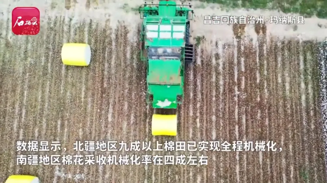 新疆棉花风波的深度思考:说一点我个人的判断