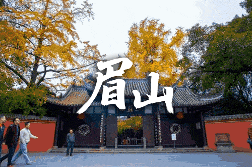 中集凌宇环卫产品奔赴四川，助力美丽眉山环保