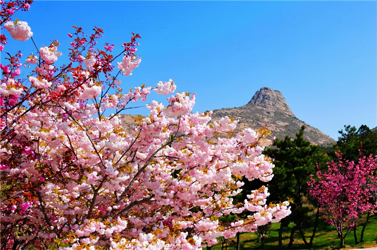 这个春天威海发出盛情邀请