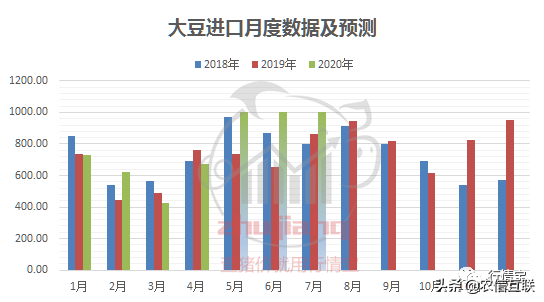 我国采购4万吨美国猪肉！猪价暴跌？还要买千万