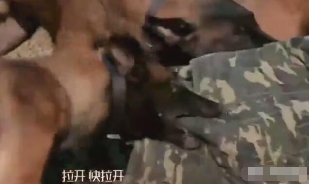 深扒！张馨予的老公何捷！确实很牛