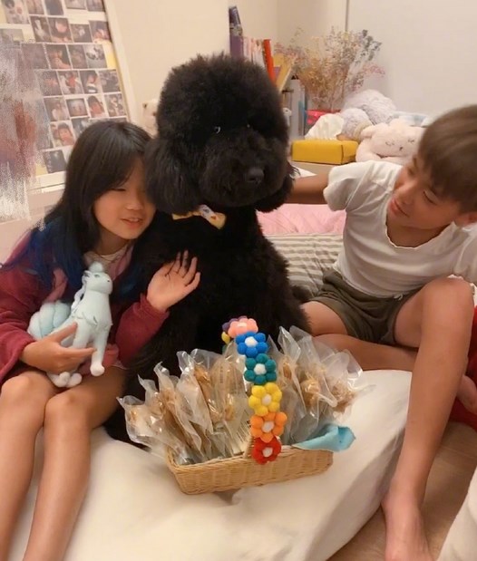 曹格为儿子庆12岁生日，Joe留黄发显成熟，丑萌姐姐成韩系美少女