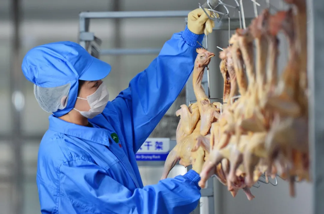 返乡大学生创业，把风干肉做出了“别样味道”