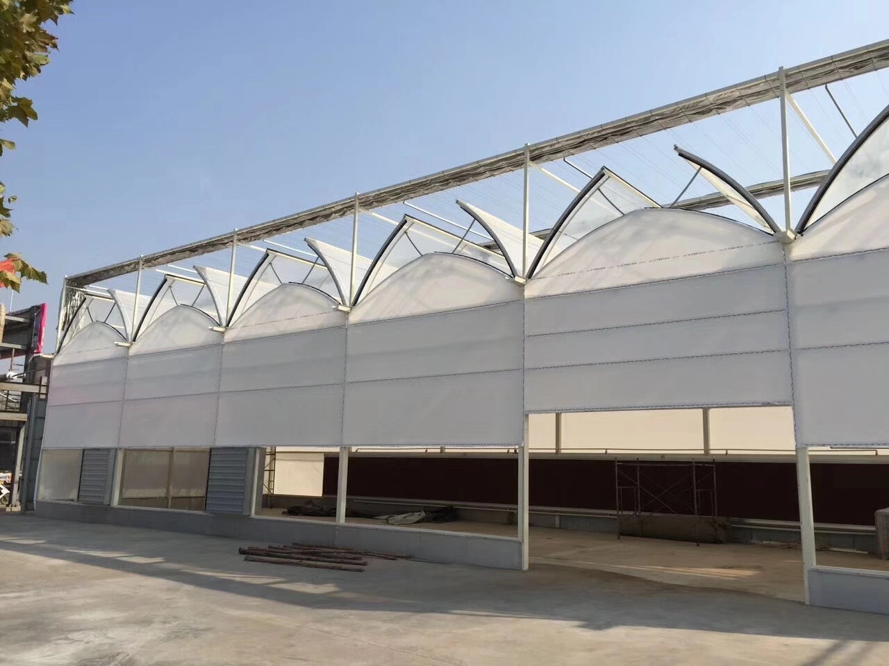 经济价值高的羊肚菌大棚如何设计建造？羊肚菌大棚建造难点