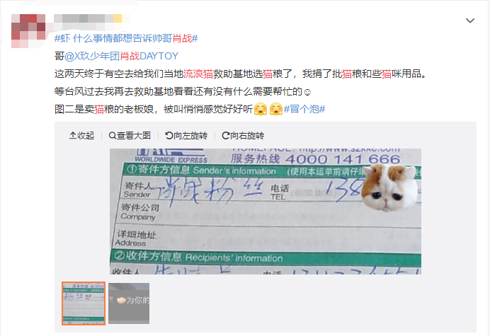 肖战粉丝再做公益：这次为流浪猫再出一份力，黑粉们无话可说了