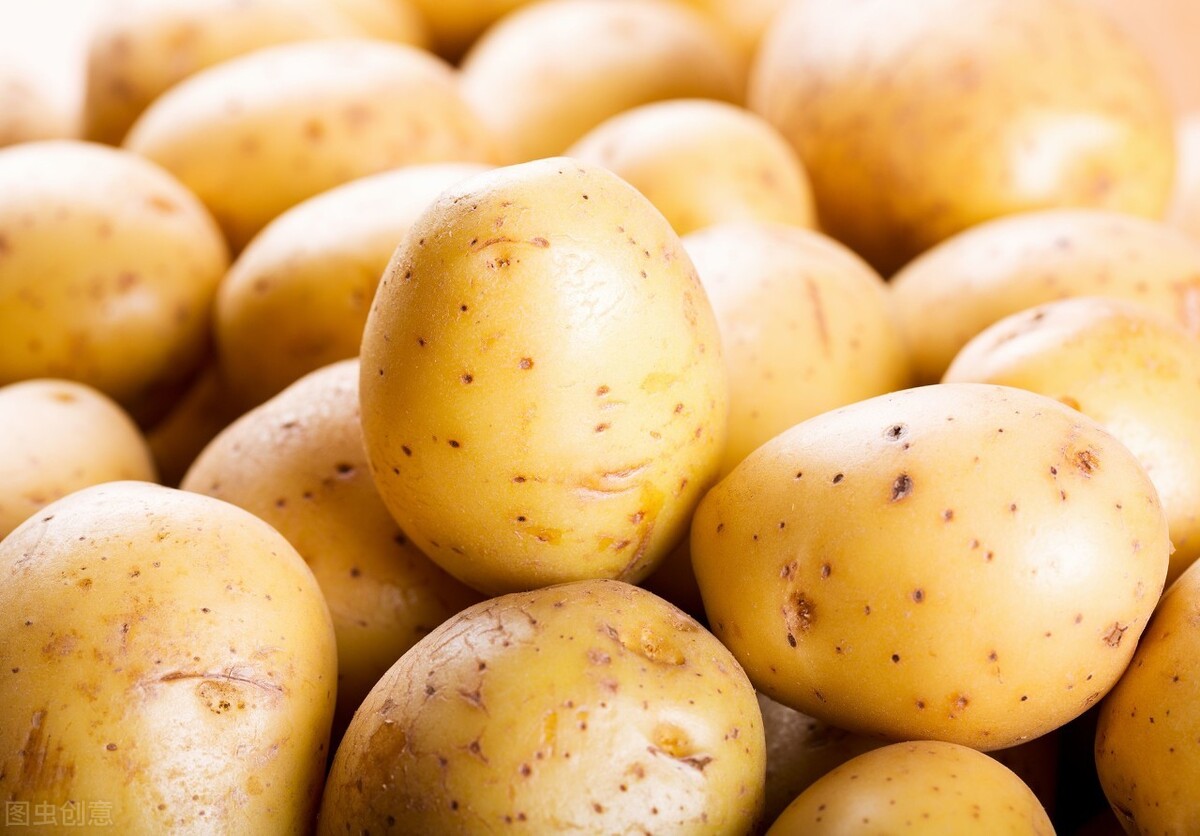 保存土豆有妙招，牢记“1放2不放”，土豆不长芽，半年也鲜美