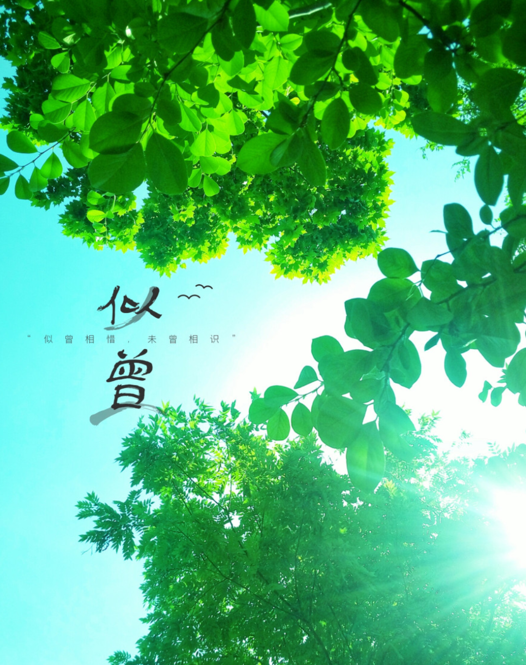 古代诗人怎么用诗词来表达热-第9张图片-非凡网