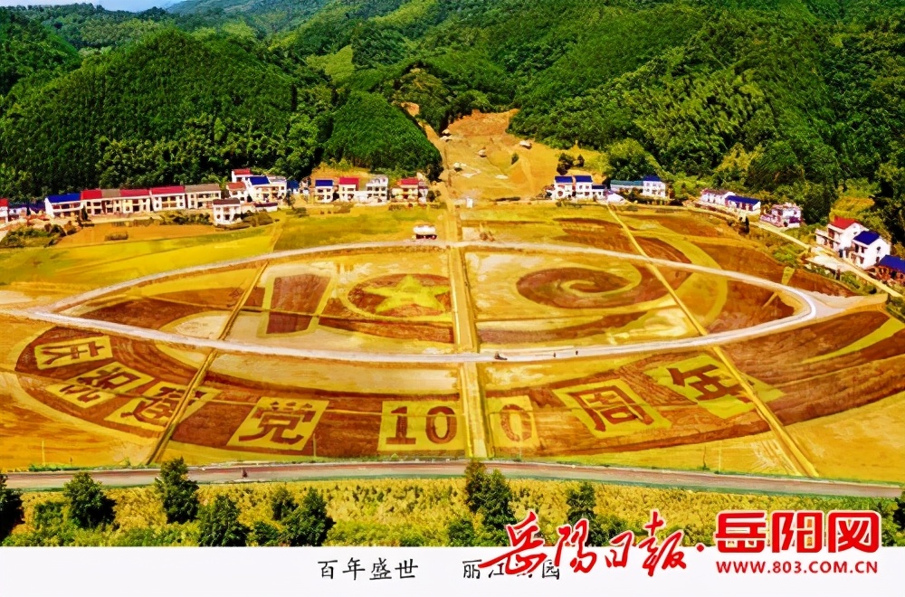 平江丽江：绘就百亩彩稻画卷，庆祝建党100周年