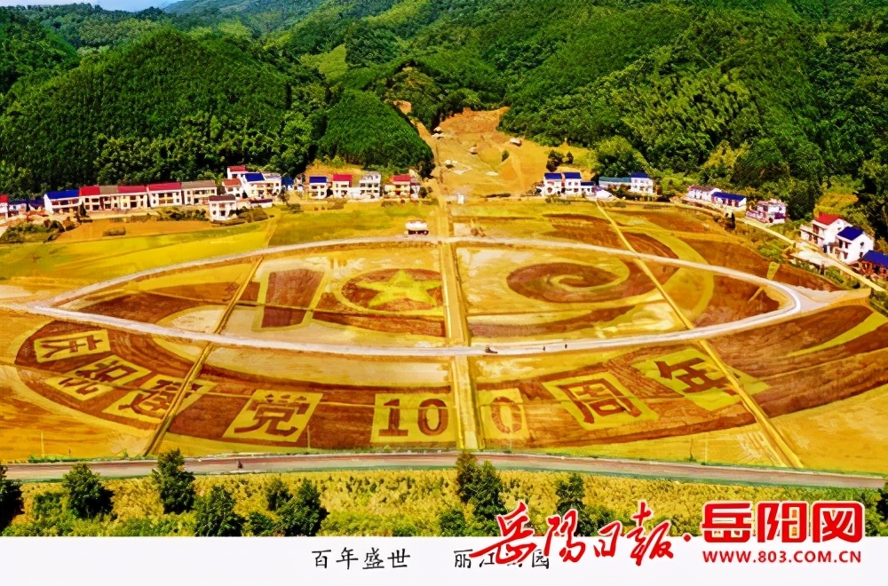 平江丽江：绘就百亩彩稻画卷，庆祝建党100周年