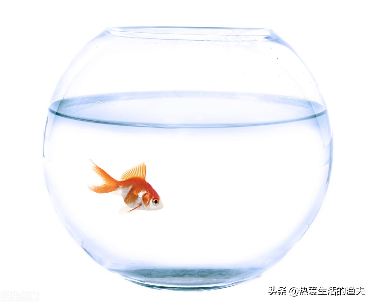 魚缸水族箱水總是渾濁應該怎麼辦 上濾魚缸應該如何加強過濾 熱愛生活的漁夫 Mdeditor