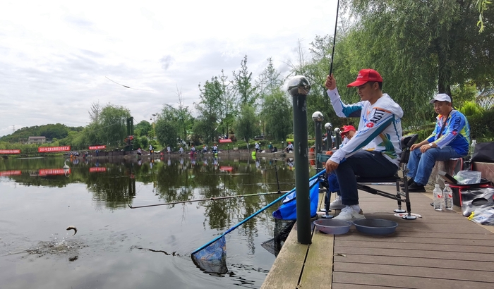 2021年宜宾市翠屏区钓鱼比赛在牟坪镇橘香小镇举行