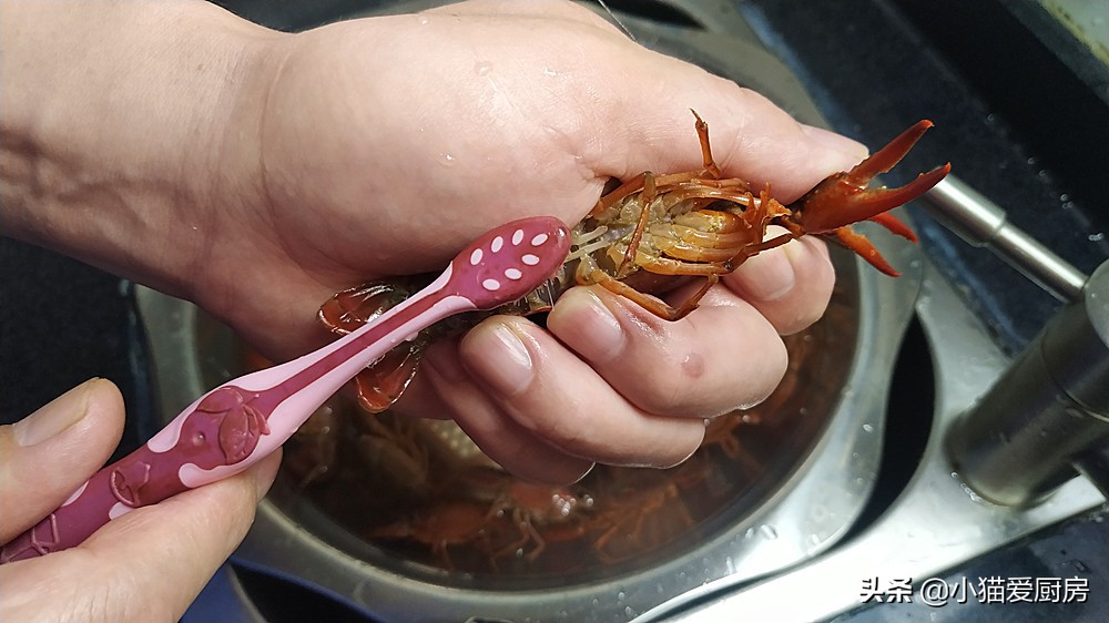 图片[5]-教你麻辣小龙虾的家常做法 制作简单 鲜香美味 一大盘不够吃-起舞食谱网