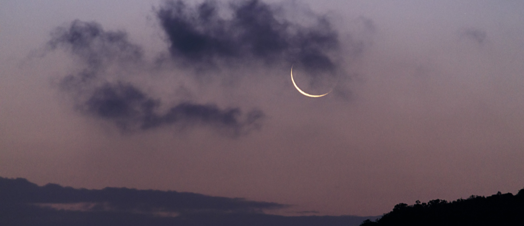 2021，建议你厚脸皮地活着