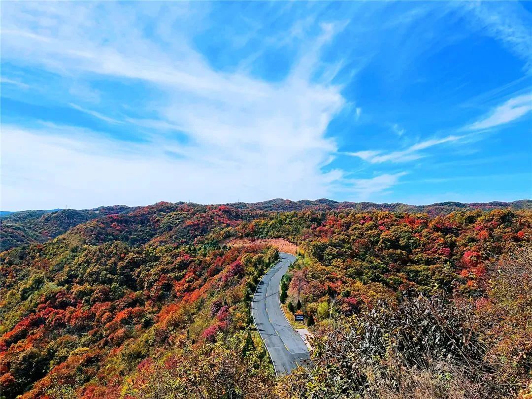 Missing these 14 maple viewing areas in November is equivalent to missing the entire autumn