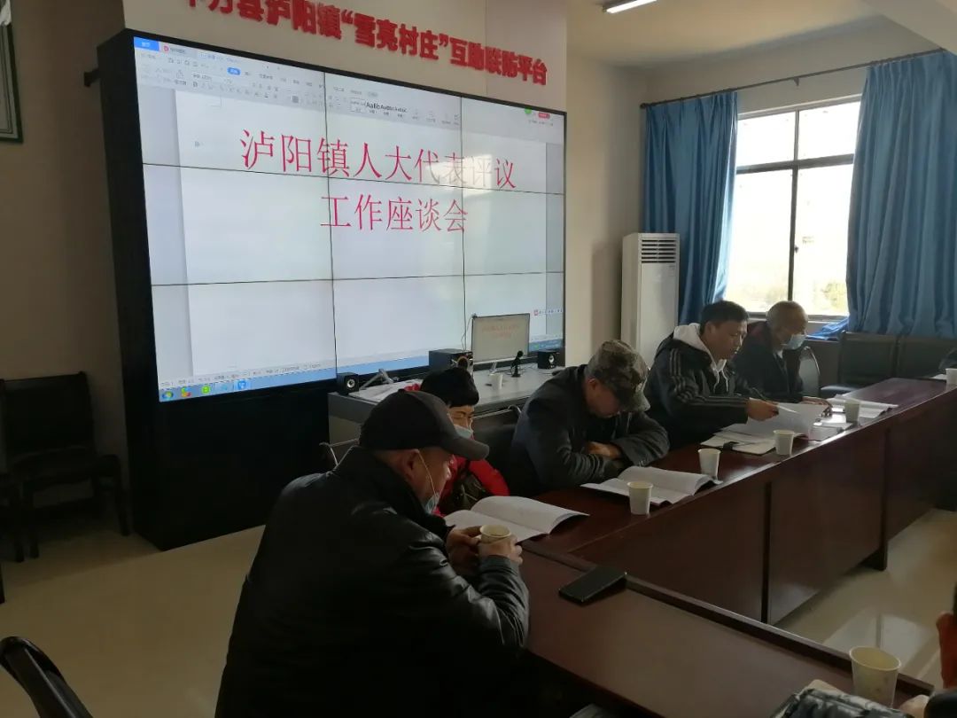 中方县泸阳镇开展人大代表评议工作