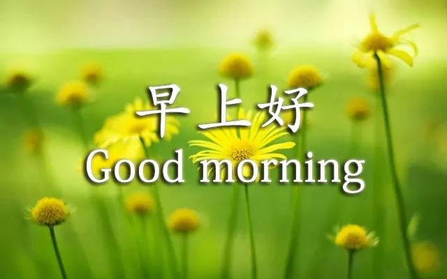 早上好图片大全 最美 漂亮 新版2021图片