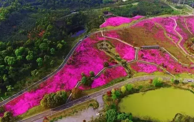 除了江汉区，武汉最土豪的区是哪个区？