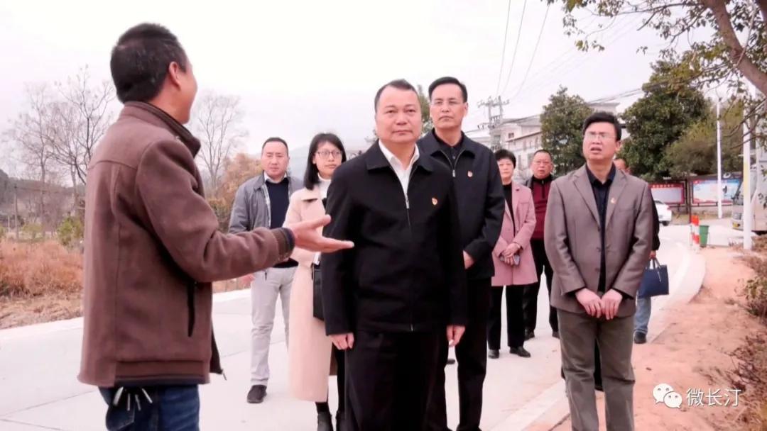 长汀县领导调研“田园牧歌•七星闪耀”乡村振兴跨村联建示范片