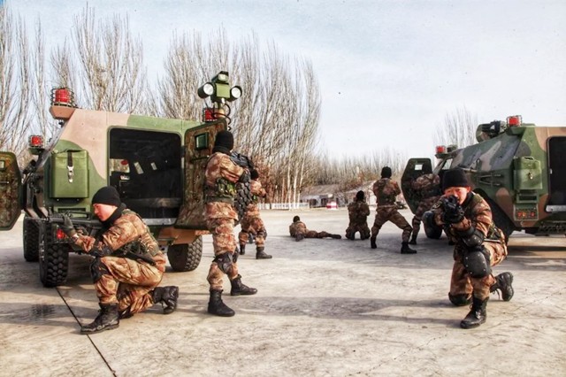 20���й������仯�ж���й�2001���2021�����ʵ���Ա�