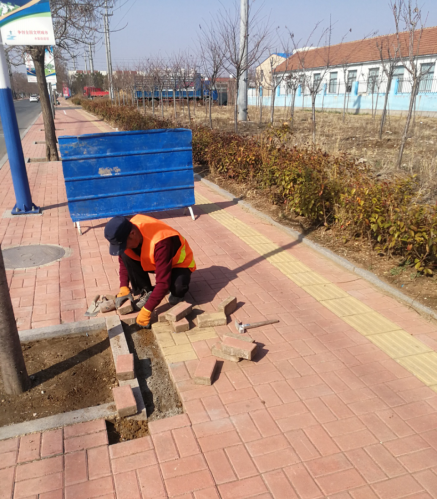 山东省莱西市：全力做好春季市政设施养护