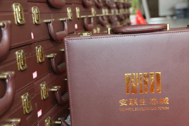 河北凤舞物业服务有限公司 檀悦府项目盛大交房