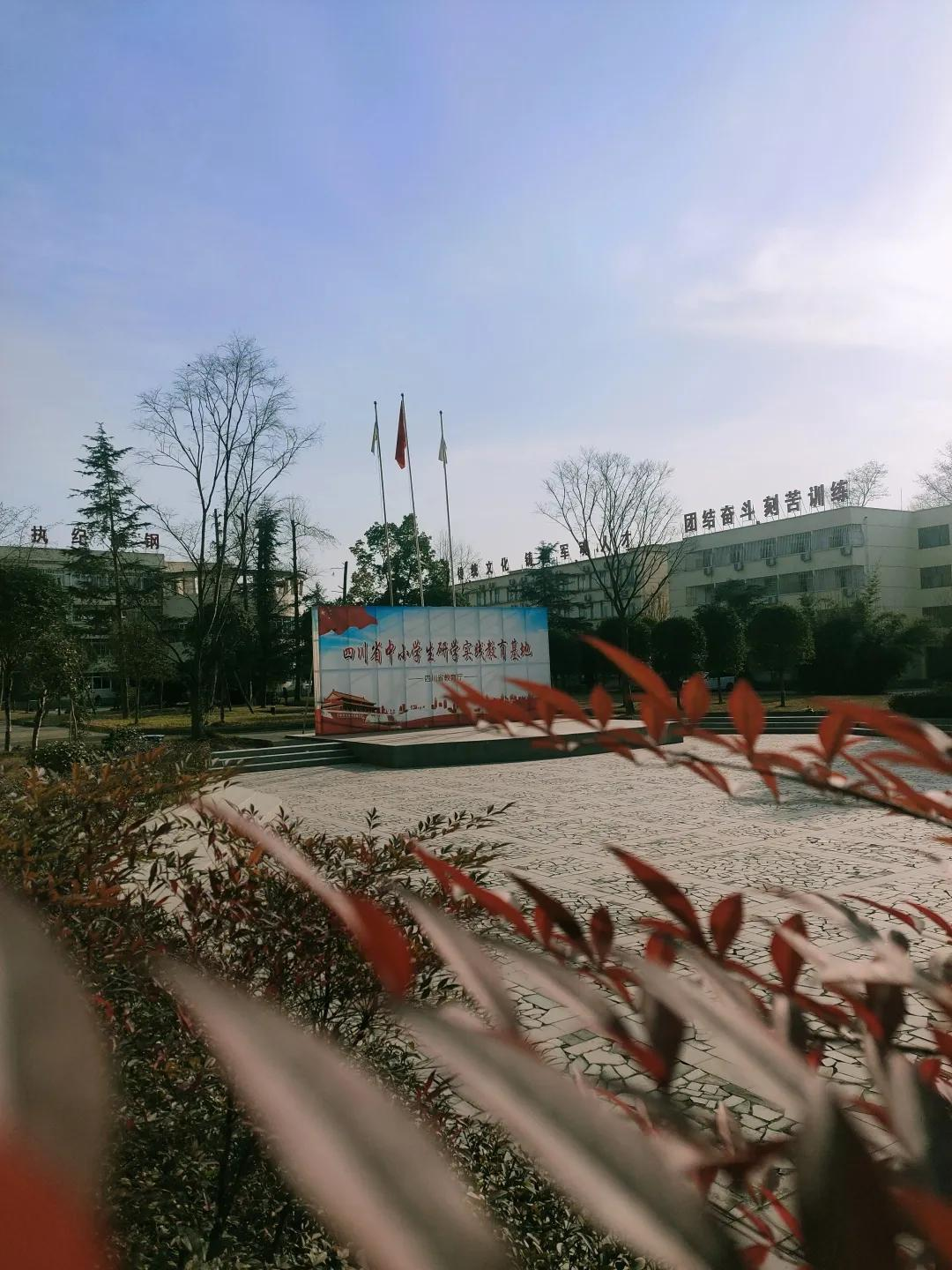 智慧之星高效记忆术特训营Day.4丨学会感恩,感恩父母
