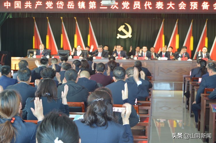 中国共产党岱岳镇第三次党员代表大会胜利召开