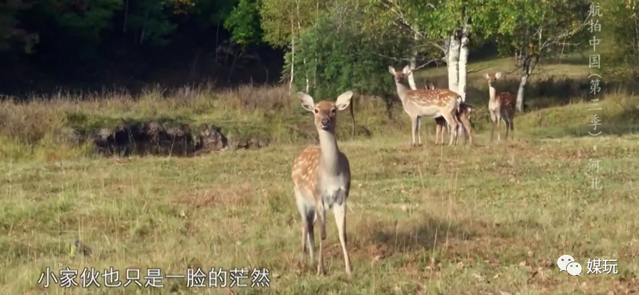 彩蛋不断！这一季《航拍中国》是怎样靠“翻车