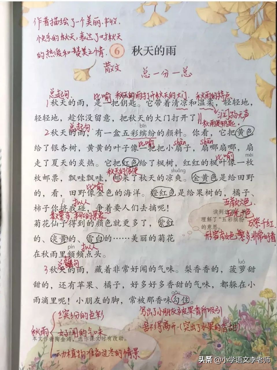 三年级语文上册《秋天的雨》知识点汇总，让孩子打好学习基础