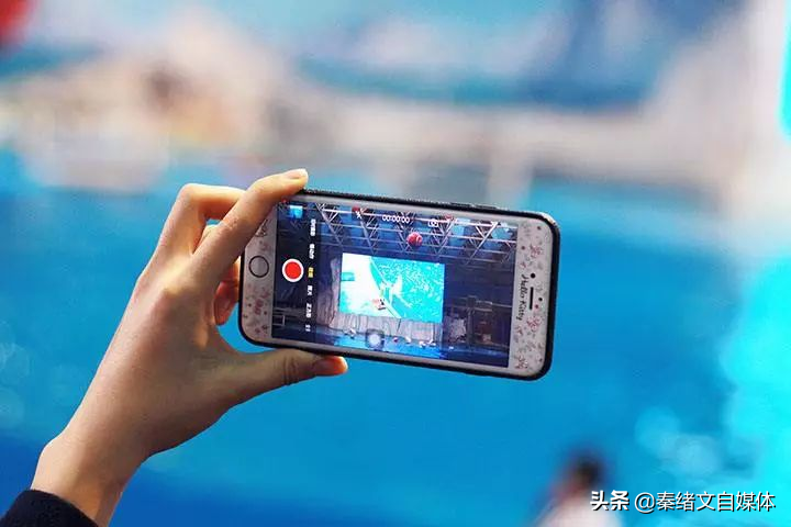 单反拍出来的视频比手机更容易火吗？自媒体需要好设备吗？