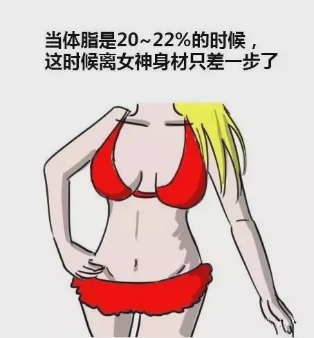 男女體脂對照圖，看看你是哪一種？