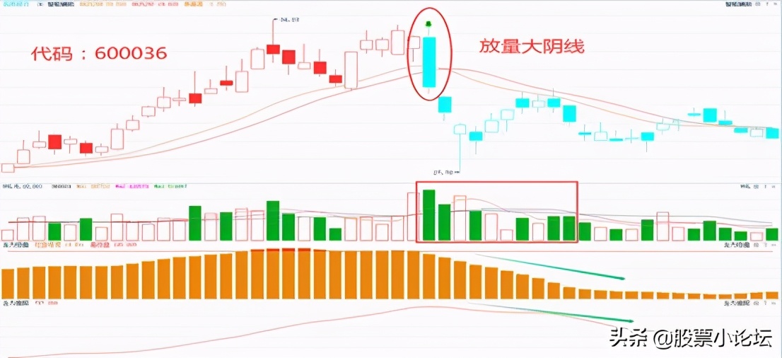 炒股如何一步步从入门到精通？值得阅读10遍，送给有缘人