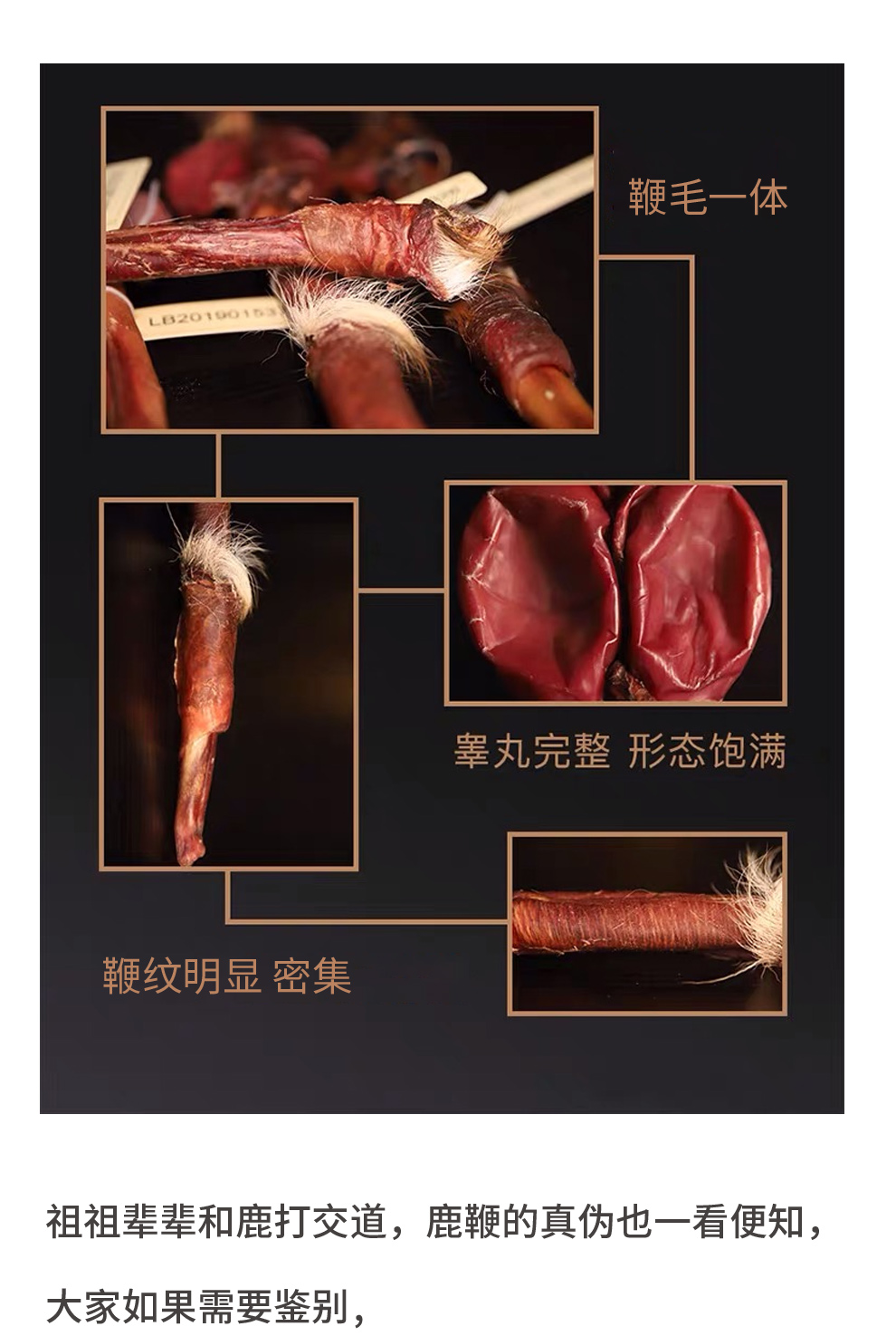 揭秘！!不要再浪费你的鹿鞭了！原来这样才能真正发挥它的效果