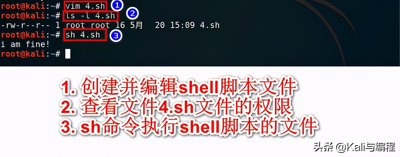 小白7天掌握Shell編程：腳本的創(chuàng)建和執(zhí)行