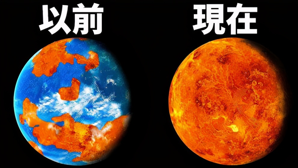 金星上竟有生命的跡象