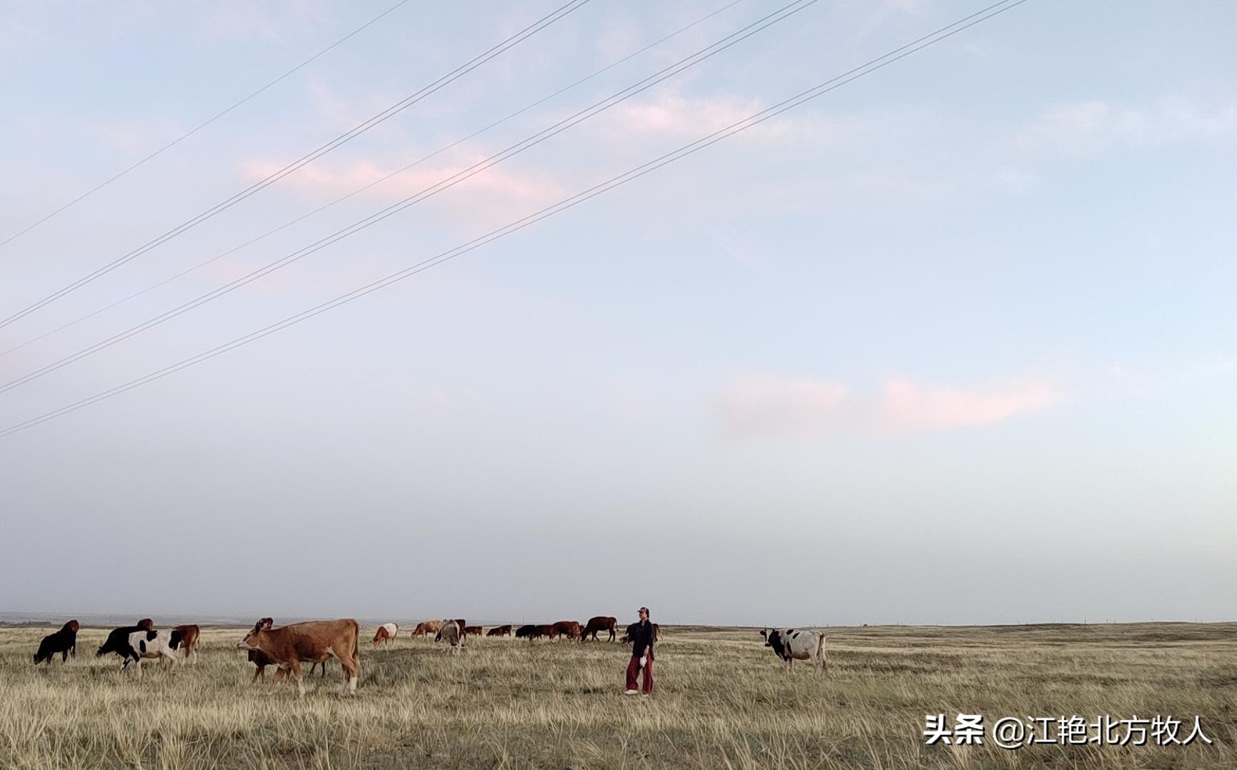 靠養(yǎng)殖到底能不能致富？江艷實(shí)話實(shí)說(shuō)，再聽(tīng)聽(tīng)她的致富經(jīng)