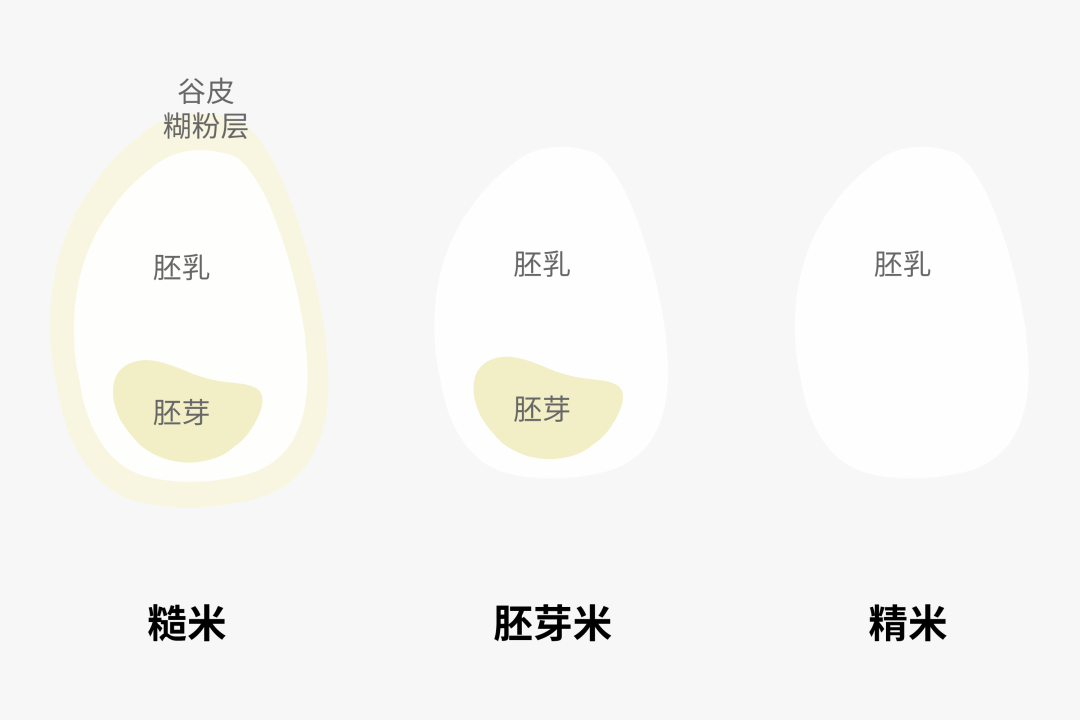 都叫主食，原来这么多不一样