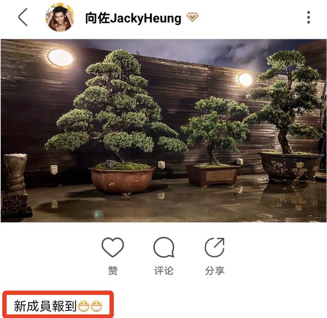 郭碧婷成功怀孕！老公向佐激动发文，新成员报
