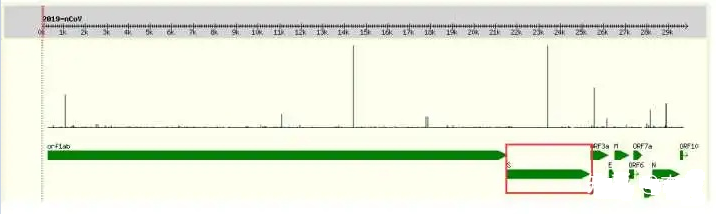 为什么中国的新冠灭活疫苗走得最快？
