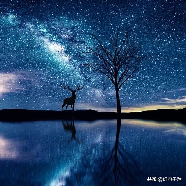 很火很赞的心灵鸡汤，经典有哲理，静下心来看看！-第8张图片-非凡网