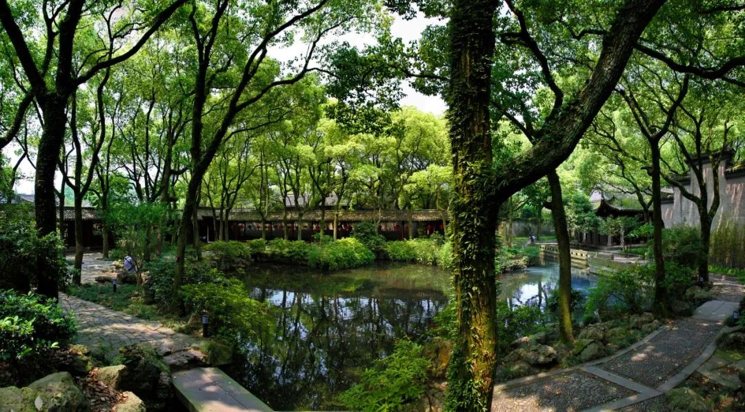 夏雨诗词，洗去人间炎热，送来一夏清凉-第1张图片-诗句网