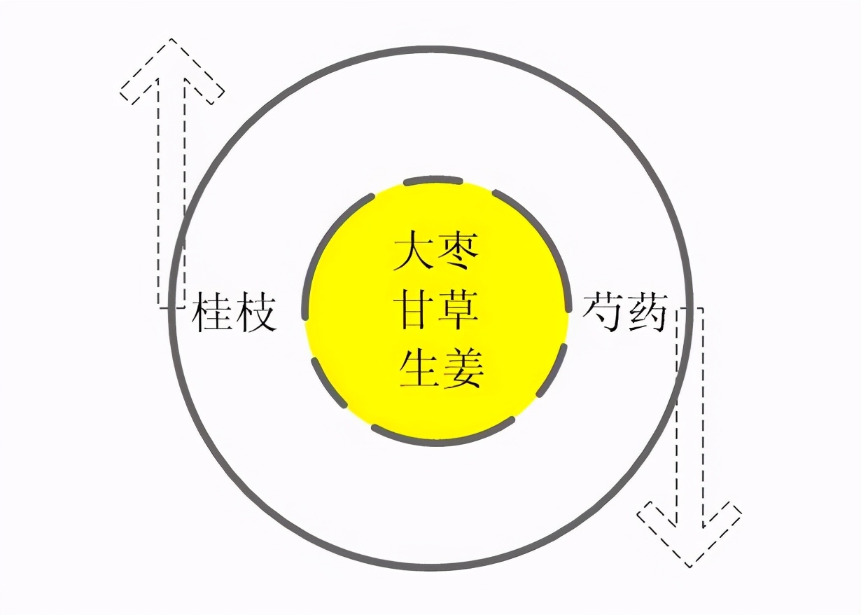 漫谈人体阴阳平衡与虚实应用的差异