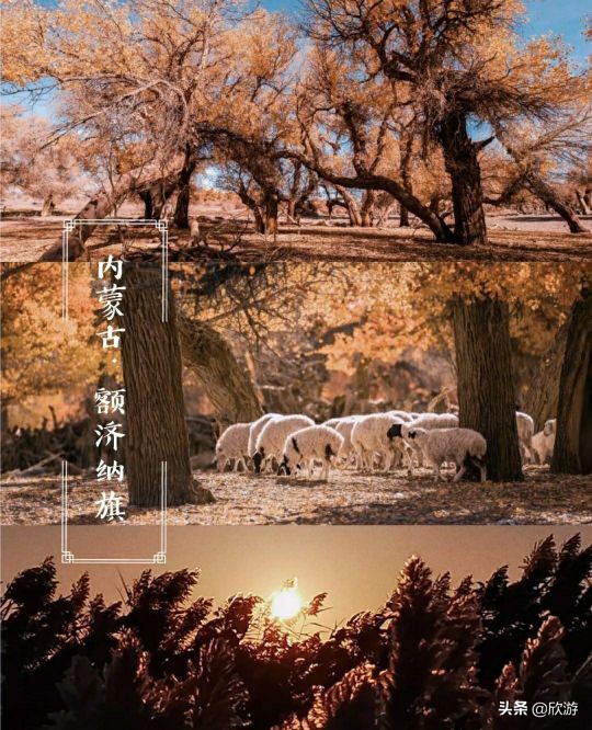 October is the most worthwhile travel. These places have the most beautiful maple leaves and are also the best shooting locations