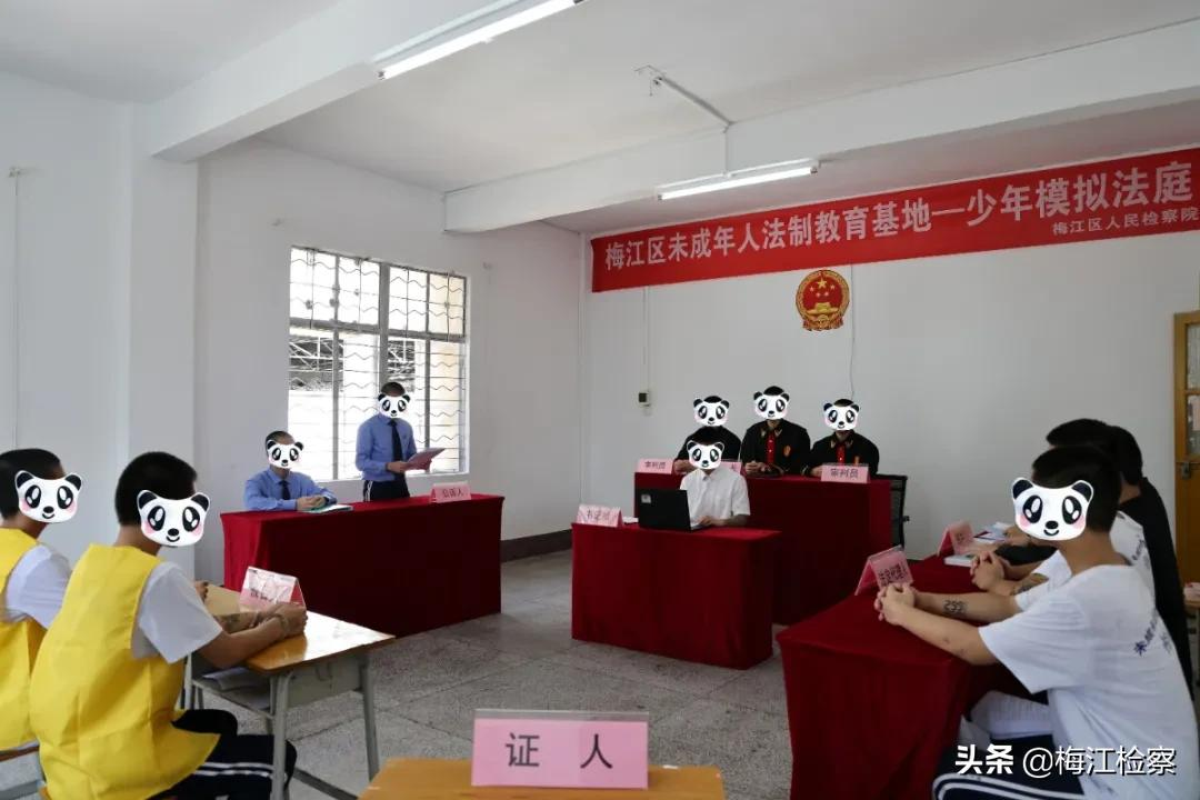 我为群众办实事I零距离学法,“青少年模拟法庭”开庭!