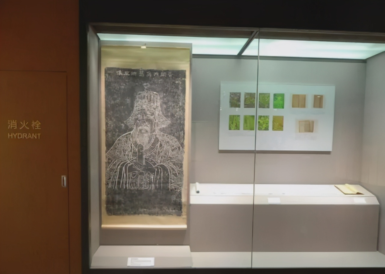 千年辉煌，百年曲折，穿越历史探中医——探访上海中医药博物馆