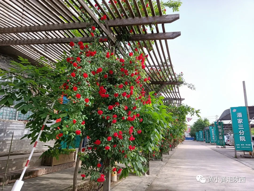 陜西這個(gè)大牌度假區(qū)很不錯(cuò)！美食很多消費(fèi)低,，最低30元就能住一晚